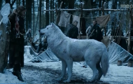 Jon Snow's direwolf, Ghost